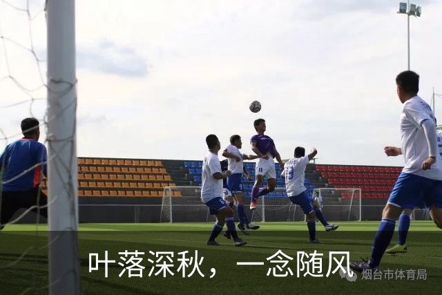 叶落深秋，一念随风