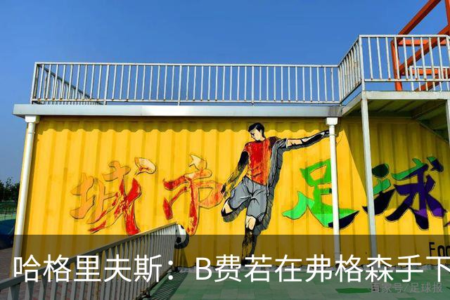 哈格里夫斯：B费若在弗格森手下说这话，就没机会再上场了