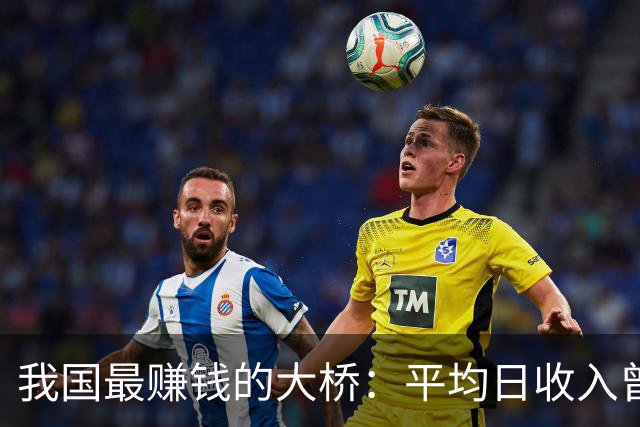 我国最赚钱的大桥：平均日收入曾高达上千万，到底为啥如此吸金？
