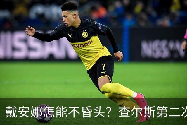 戴安娜怎能不昏头？查尔斯第二次见她，就像小狗一样围着她打转