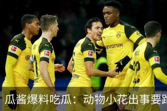 瓜酱爆料吃瓜：动物小花出事要跑路？