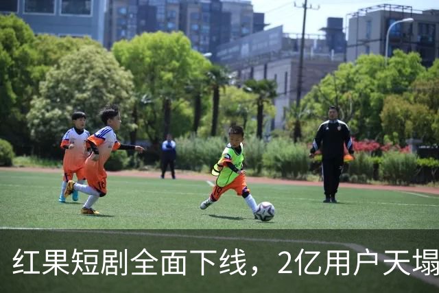 红果短剧全面下线，2亿用户天塌了
