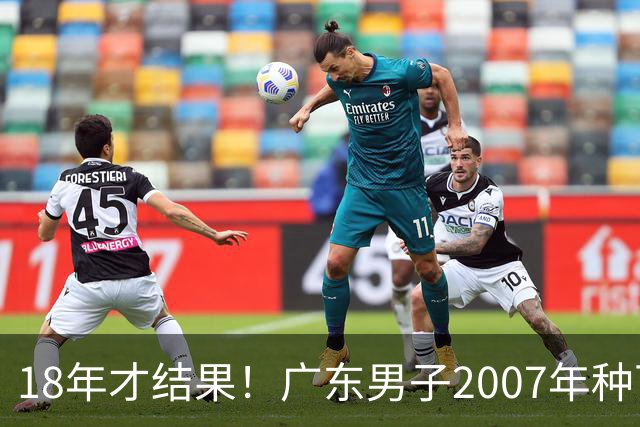18年才结果！广东男子2007年种下约1000亩，现在只有2棵结果